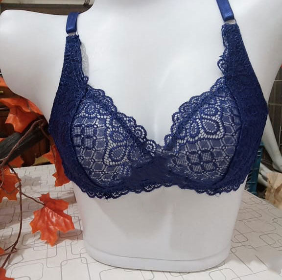 Lace Non Padded Net Bra